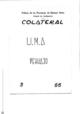 Unión de Mujeres Argentinas (UMA)