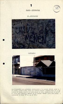 104 - Pintadas murales