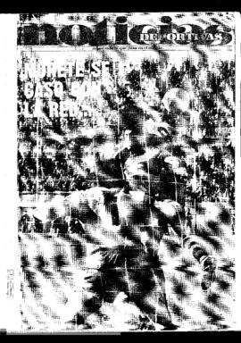 128 – Diario Noticias