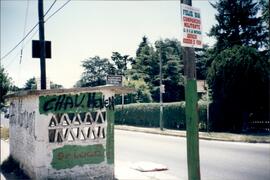 69 - Pintadas murales