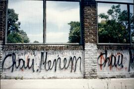 82 - Pintadas murales